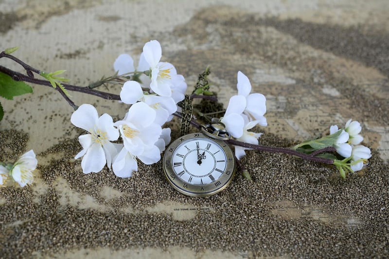 Time-Warp Watch